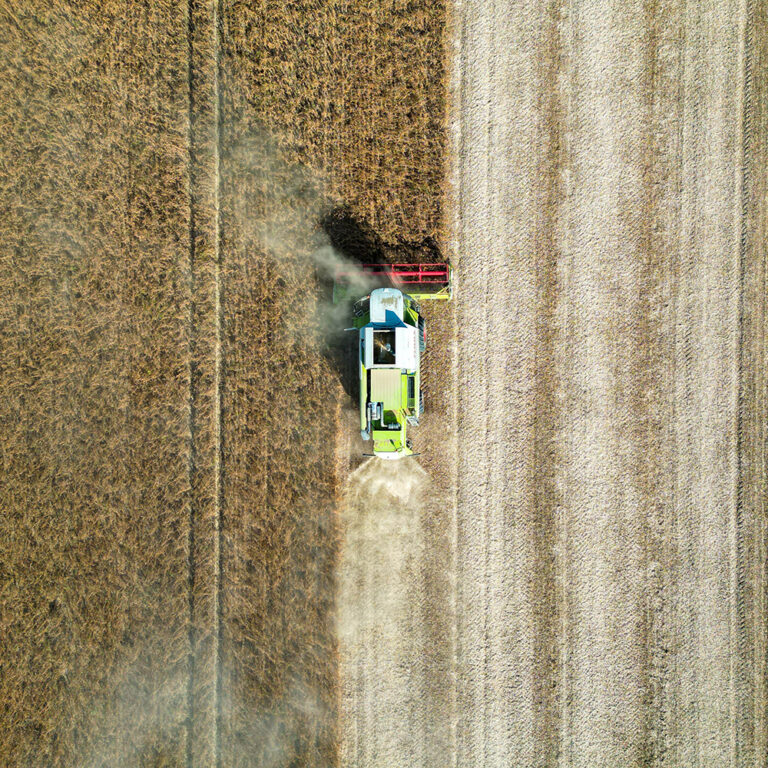 Agriculture & Agribusiness