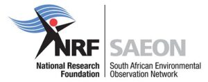 NRF SAEON Logo